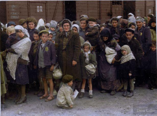 <p>Polonya'da Auschwitz-Birkenau imha kampına ulaşan Yahudi kadınlar ve çocuklar (1944)</p>

<p> </p>
