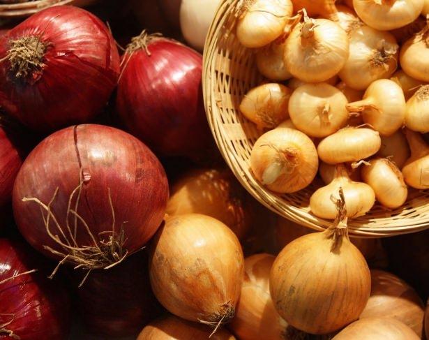 <p>Kersetin olarak adlandırılan flavanoidler, fiziksel yorgunluk sonucu gerçekleşen bağışıklık sisteminin çökmesini belli ölçüde engelleyebiliyor. Aynı zamanda ciltte elastikiyet kaybı ve romatizma, kireçlenme gibi yaşa bağlı rahatsızlıkları da önlemeye yardımcı oluyor.</p>
