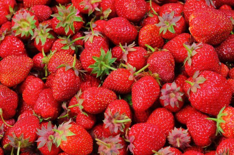 <p>Limon, greyfurt gibi ekşi meyveler ise böyle bir kullanım için uygun değildir.</p>