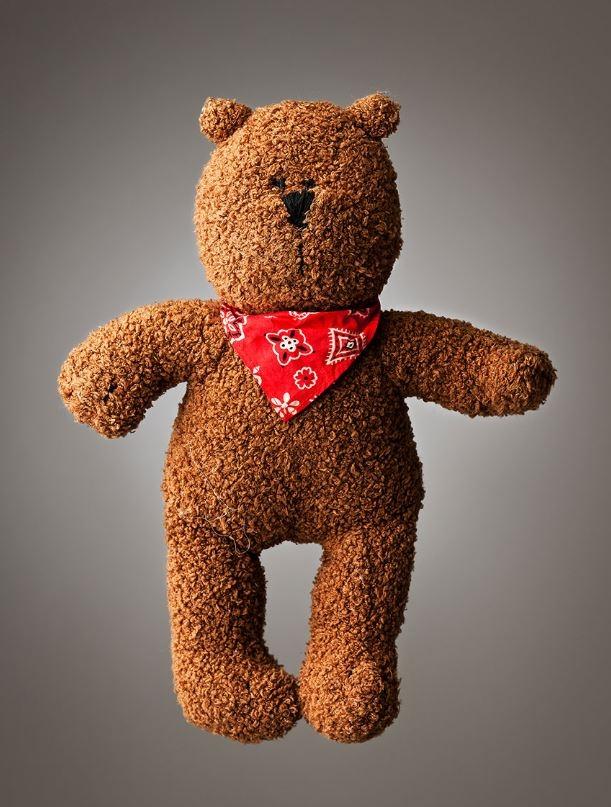 <p>Teddy<br />
<br />
Yaş bilinmiyor</p>
