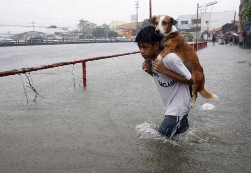 <p><strong>Filipinler’de meydana gelen tayfunda bir çocuk, sel sularına kapılmaması için köpeğini sırtında taşıyarak kurtarıyor.</strong></p>
