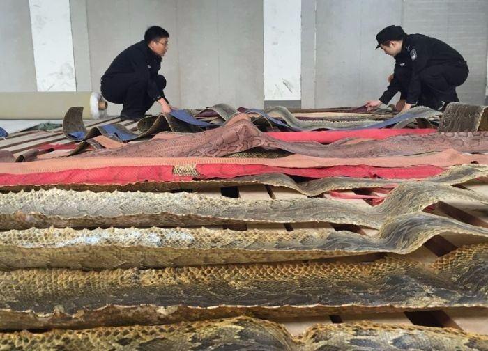 <p>Hainan Eyaletindeki &Ccedil;inli g&uuml;mr&uuml;k yetkilileri, ka&ccedil;ak&ccedil;ıların 16'sını tutukladılar.&nbsp;</p>

<p>&nbsp;</p>
