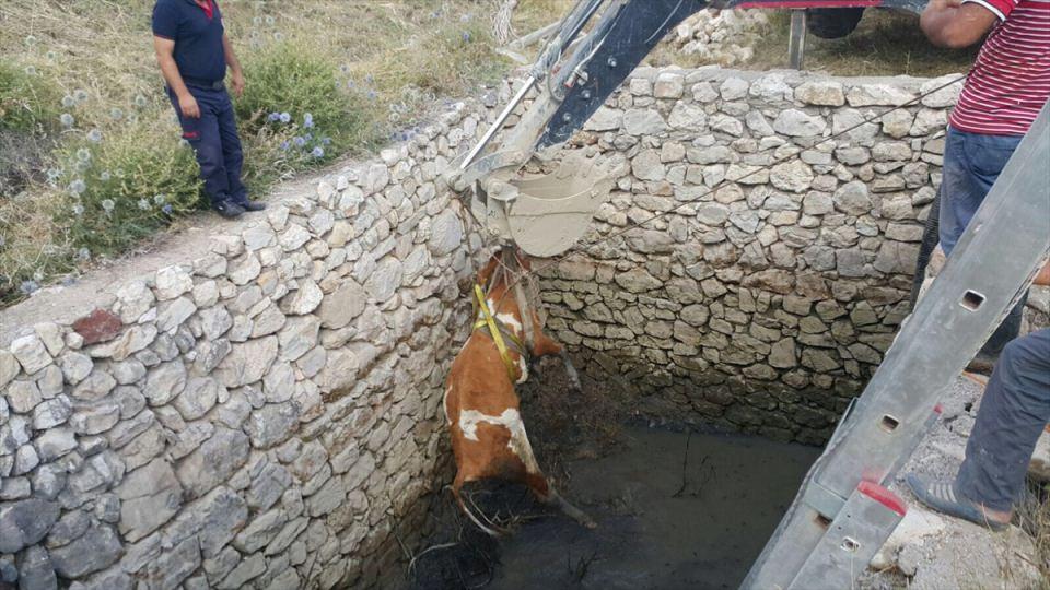 <p>Edinilen bilgilere göre, Koçova Mahallesinde Hüseyin Gören, hayvanlarını otladığı sırada bir ineği 6 metre derinliğindeki su kuyusuna düştü.</p>
