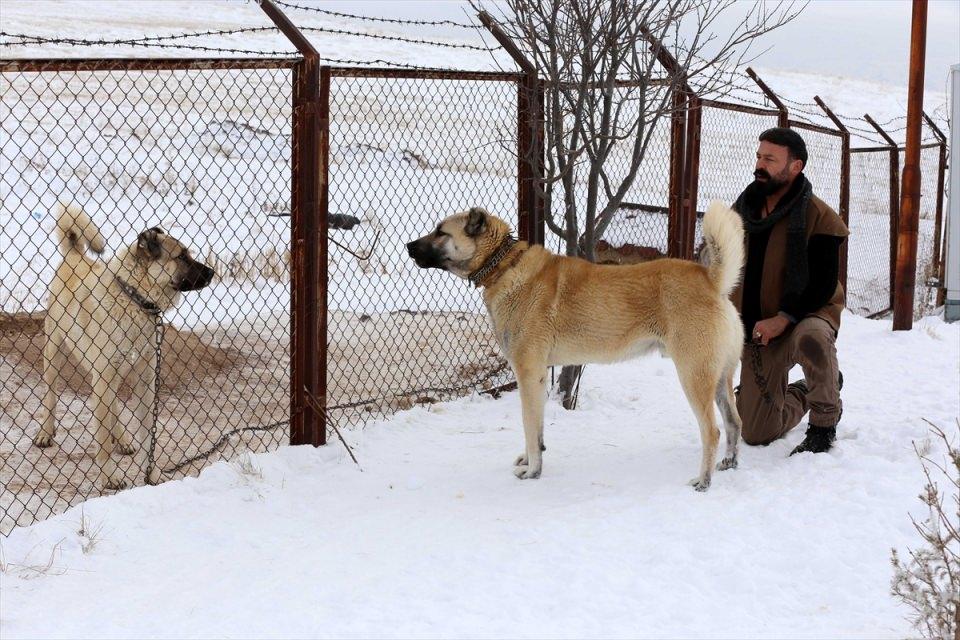 <p>SİVAS</p>
