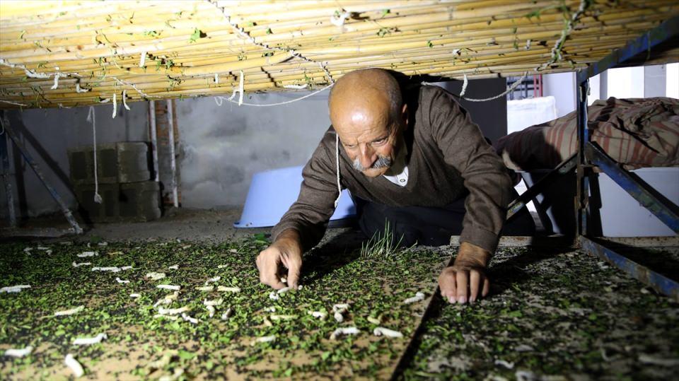 <p>Ardından sabahın erken saatinde yaktığı ocağının başına geçen Büyükaşık, mesleğini anlatan kendi bestesi şarkı eşliğinde kaynayan sudaki kozalardan büyük bir incelikle iplikleri çıkarıyor. </p>