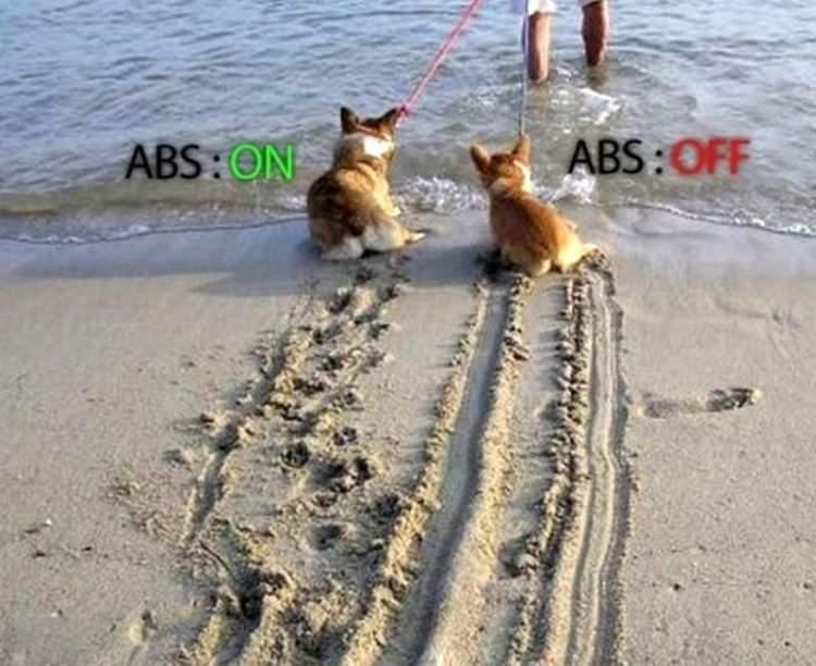 <p>Şöyle ki, klasik fren sisteminde fren pedalına basıldığında tekerlekler kitlenir.<br />
<br />
Ama ABS'li araçlarda frene sürekli bir kuvvet uygulanmaz. Frene önce güç uygulanır ardından bu güç geri çekilir.</p>
