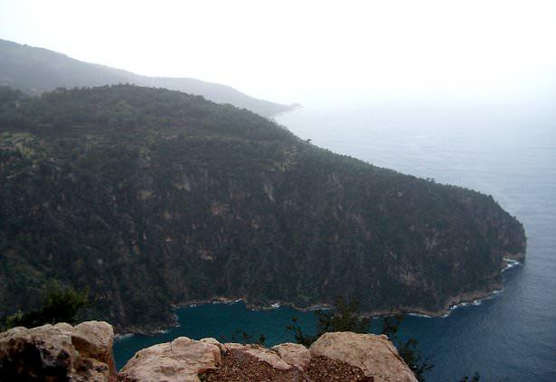 <p>Faralya</p>
