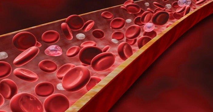 <p>Kana kırmızı rengini veren ve dokulara oksijen taşıyan alyuvarların içinde bulunan proteine hemoglobin denir. Hemoglobin sağlıklı kişide 12-16,5 gram olması gerekir. Bunun 12'nin altına düşme durumu da kansızlık olarak adlandırılır.</p>
