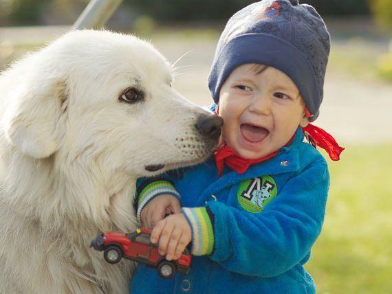 <p>Mesela çocuğunuz köpekten korkuyorsa, köpek resimleri çizdirin, ardından oyuncak bir köepk alın ve onunla oynayın, sonra çocuğunuzla birlikteyken gerçek köpekleri sevin, sonra çocuğunuzun elinden tutarak yavaş yavaş köpeği sevin. Köpek korkusu geçene kadar bu şekilde davranmaya devam edin.</p>
