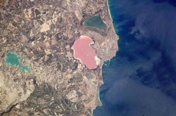 <p>Pembe Tuz Gölü (İspanya)</p>
<p> </p>