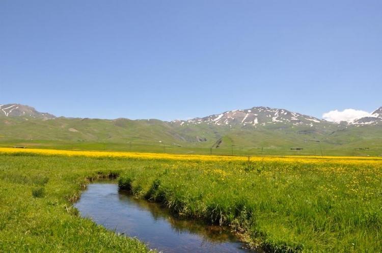 <p>Şırnak<br />
<br />
Nüfusu: 483 788  <br />
Toplam otomobil sayısı: 3 872<br />
​Kaç kişiye bir otomobil düşüyor: 124,9</p>
