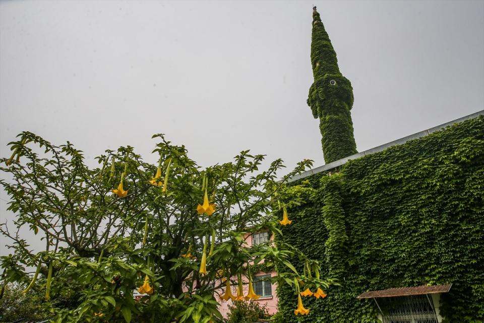 <p>Köprülü Mahallesi Yeşil Cami Koruma Derneği Başkanı 78 yaşındaki Muzaffer Yeldan, AA muhabirine yaptığı açıklamada, mahallenin en eski sakinlerinden olduğunu söyledi.</p>
<p> </p>
