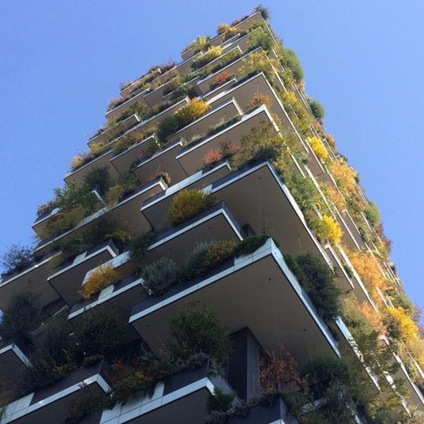 <p>İşvi&ccedil;re'nin Lozan şehrine yapılan La Tour des Cedres'i (Cedar Kulesi) neredeyse k&uuml;&ccedil;&uuml;k bir orman kadar yeşillik i&ccedil;eriyor.</p>

<p>&nbsp;</p>
