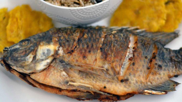 <p>Beslenme ve Diyet Uzmanı Özge Öçal, cildin yaşlanmasını geciktiren, zihni açık tutan, bağışıklık sistemi ve unutkanlığının önlenmesini destekleyen balığı her hafta tüketmeniz için 12 nedeni şöyle açıkladı.</p>

