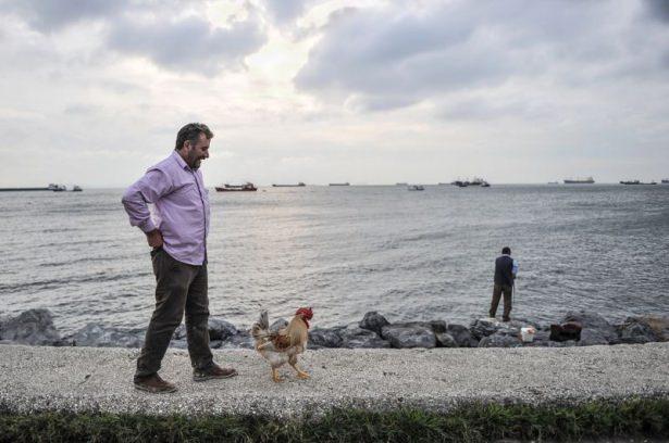<p>Horozu Behlül'e yaklaşık 10 yıldır evladı gibi baktığını ifade eden Öztel, Behlül'ün bakımını kendisinin yaptığını, mısır, buğday ve yeşilliklerle beslediğini kaydetti.</p>

<p> </p>
