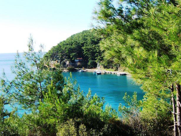 <p>Akyaka</p>
