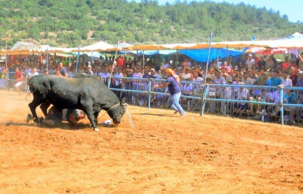 <p><strong>SAHİBİNİ HASTANELİK ETTİ</strong><br />
<br />
Güreşler sırasında bir boğa güreş sahasındaki bir kişiye saldırdı. </p>