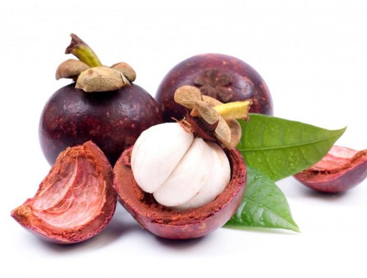 <p><strong>1- Güçlü bir antitoksidandır</strong><br />
<br />
Bileşiminde bulunan polifenol iel güçlü bir antitoksidan olma özelliği taşıyan Mangosteen, yaşlanmayı yavaşlatır</p>
