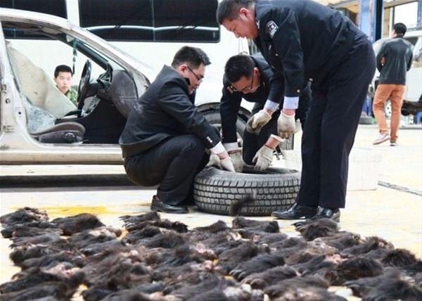<p>Çin'de polis memurları şüphelendikleri bir kamyonu durdurunca her şey ortaya çıktı.<br />
</p>