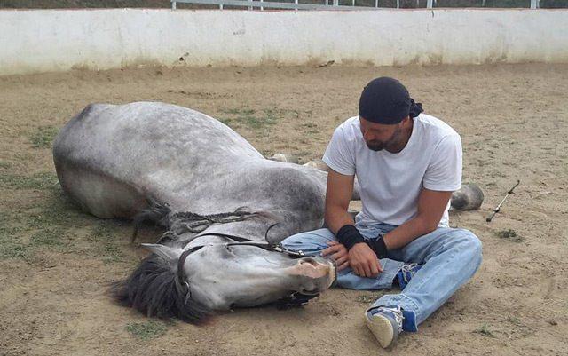 <p>Tabiatta bir ceylanla aslanın dostluk yaptığını göremezsiniz. Ne yaptığımız akrobasi, ne yaşadığımız adrenalin…  En mühim şey hayatın akışına ters olmasına rağmen iki zıt varlık dost olabiliyor ve birbirine güvenebiliyor olması. İşimizin esası bu güveni sağlamak. Aşağı yukarı bu atlar 3-3,5 yıldır benimle birlikte. Eğitim alıyorlar, biraz daha zamana ihtiyaçları var.</p>
