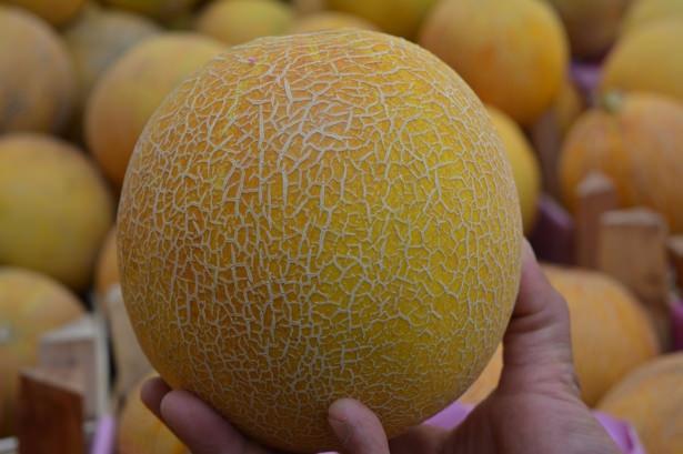 <p><strong>Kavun, karpuz ve salatalık Efendimiz'in (asm) sevdiği yiyeceklerdendir </strong></p>

<p> </p>
