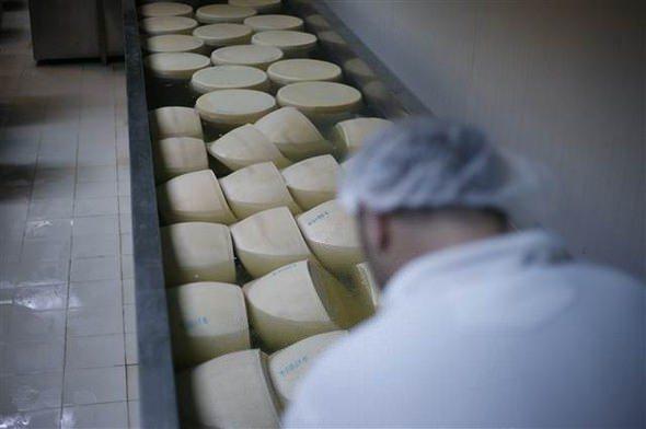 <p>İtalya'ya özgü parmesan ve mozzarellanın İtalyan usta Simone Manfredini tarafından yapıldığını kaydeden Sezer, "Bu peynirlerin tadını İtalya dışında tutturmak çok zor. Bu peynirler için makinelerin ve kazanların tamamını İtalya'dan getirttik. </p>