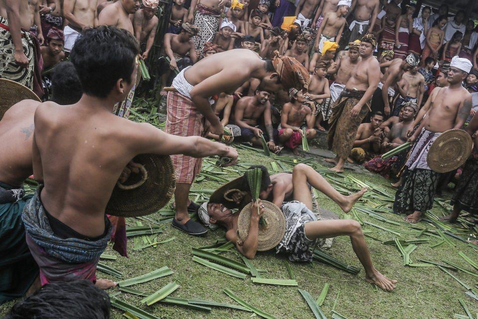 <p>Endonezya Bali'de her yıl yapılan dikenli yaprak savaşı, Pandanus ağa&ccedil;larının dikenli yapraklarıyla yapılan kutsal bir d&ouml;v&uuml;ş.&nbsp;</p>
