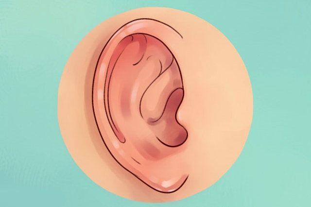 <p>Kulaklarınız kırmızıysa, böbrek sorununuz olabilir.</p>

<p> </p>
