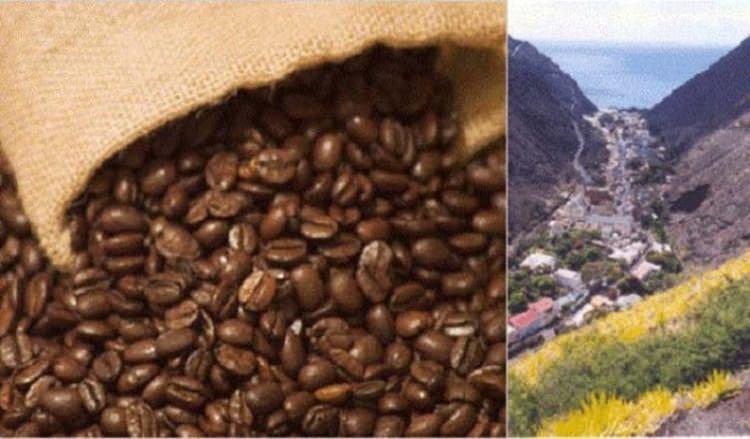 <p>3- St. Helena Coffee Company’s Adası -St. Helena</p>
<p>Bu kahvenin ünlenmesinin en önemli sebebiyse Napolyon'un bu kahvenin çekirdeklerini gördükten sonra övgülerini esirgememesidir. Kilogram fiyatı 190 USD'dir</p>