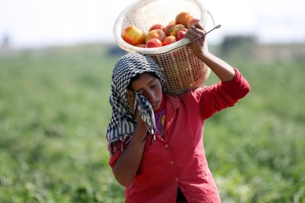 <p><strong>Birinci: Anıl Bağrık / Anadolu Ajansı Mersin</strong><br />
<br />
</p>
<p>Yeryüzünün en eski mesleği, merhameti maharetiyle birleştiren ellerle can buluyor binlerce yıldır...</p>
<p> </p>