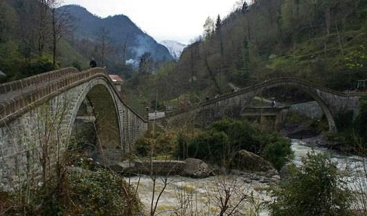 <p>Rize</p>
