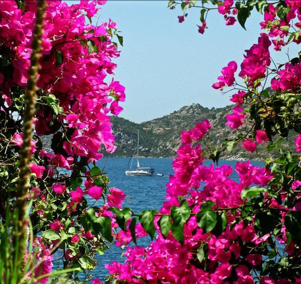 <p>Selimiye-Söğüt</p>

<p> </p>
