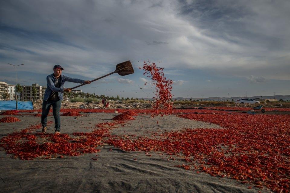 <p>Okulun ardından ailesine yardım etmek için gelen 10 yaşındaki Ravza Çiçek de burada çalışarak harçlığını çıkardığını anlattı.</p>

<p> </p>
