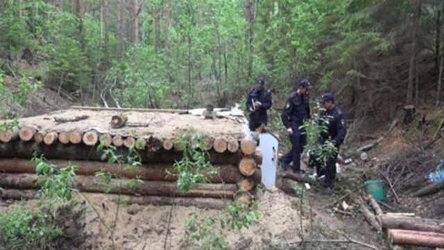 <p>Bir vatandaşın izinsiz ağaç kesildiği yönündeki ihbarını değerlendiren güvenlik güçleri, ormanda iki sığınağa rastladı. Polisler daha sonra sığınak sahibini buldu.</p>

<p> </p>
