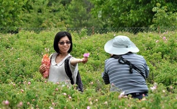 <p>Isparta'da müthiş kokular içinde güne başladıklarını belirten Ting, "Her taraf çok güzel kokuyor. Burada olduğum için çok mutluyum. Bir kez daha gelmeyi düşünüyorum." dedi.</p>
<ul>
</ul>