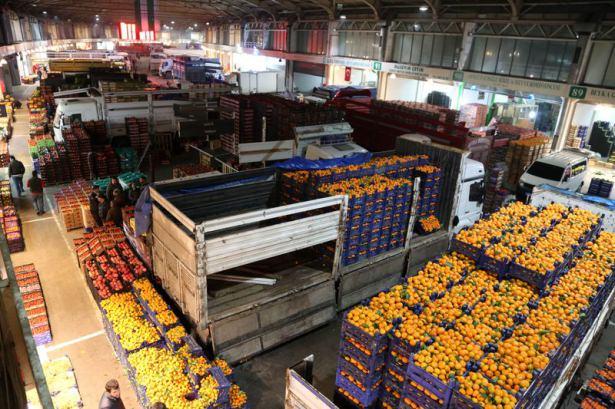 <p>Marmara, İç Anadolu ve Karadeniz bölgelerinin bir bölümünde, market, manav dükkanı ve pazarlarda satışa sunulan yaş sebze ve meyvelerin önemli miktarının karşılandığı Bursa'daki Kent Hali'nde faaliyet gösteren esnaf ile işçilerinin mesaisi, saat 02.00 civarında başlıyor.</p>
