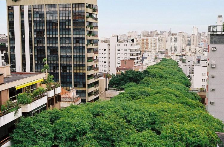 <p>Internette insanlar Rua Goncalo de Carvalho için dünyanın en güzel sokağı diyorlar.</p>

<p> </p>
