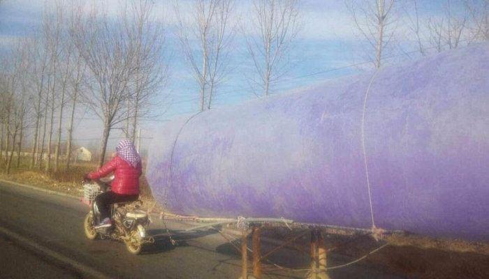 <p> Yanlarında getirdikleri balonları gaz vanalarına bağlayan köylüler, birkaç dakikada şişirdikleri 5-6 metre genişliğindeki balonları sırtlanarak evlerine götürüyor.</p>

<p> </p>

