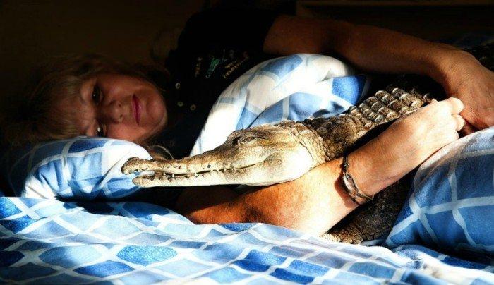 <p>Vicki Louing isimli bu kadın sıradışı bir evcil hayvana sahip...</p>

<p> </p>
