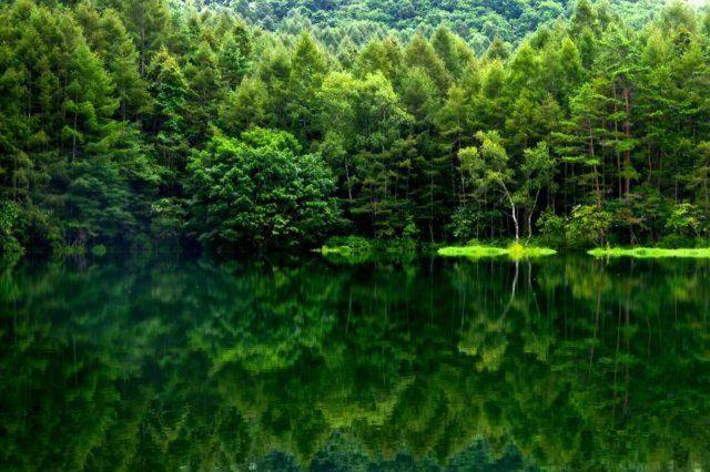 <p>Nagano, Japonya</p>

<p> </p>
