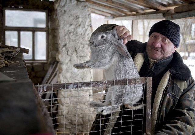 <p>Moldova: 26.8 kg</p>

<p> </p>
