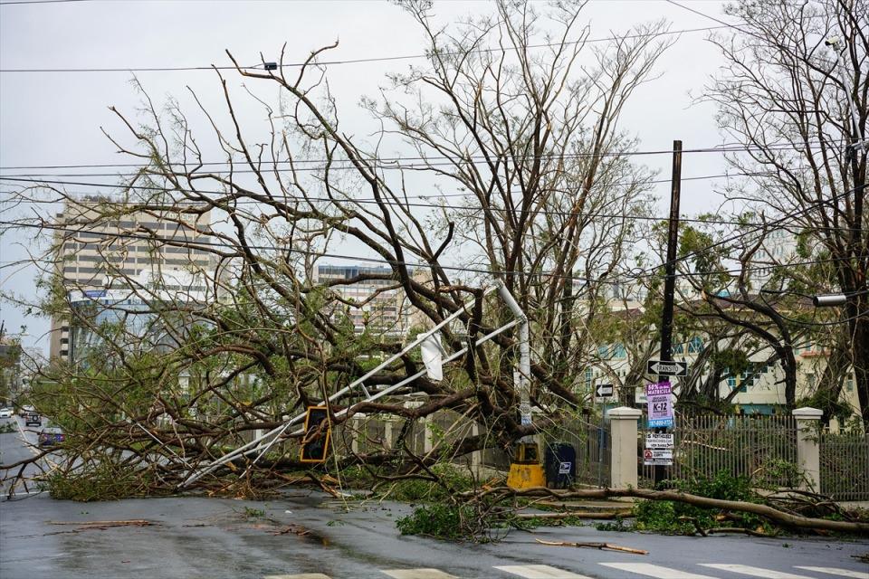 <p>Atlantik okyanusunda etkili olan Maria kasırgası, Porto Riko'nun başkenti San Juan'da büyük hasara yol açtı. </p>

<p> </p>
