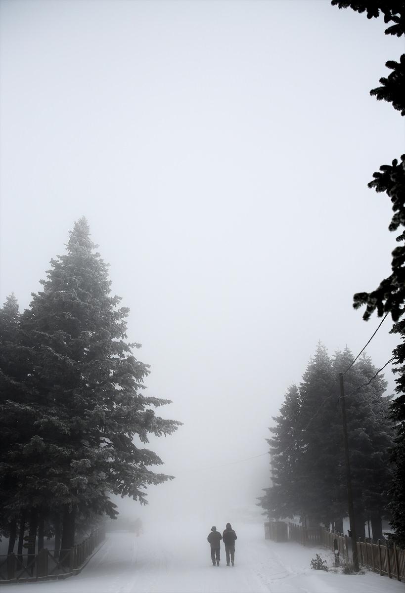 <p>BURSA</p>

