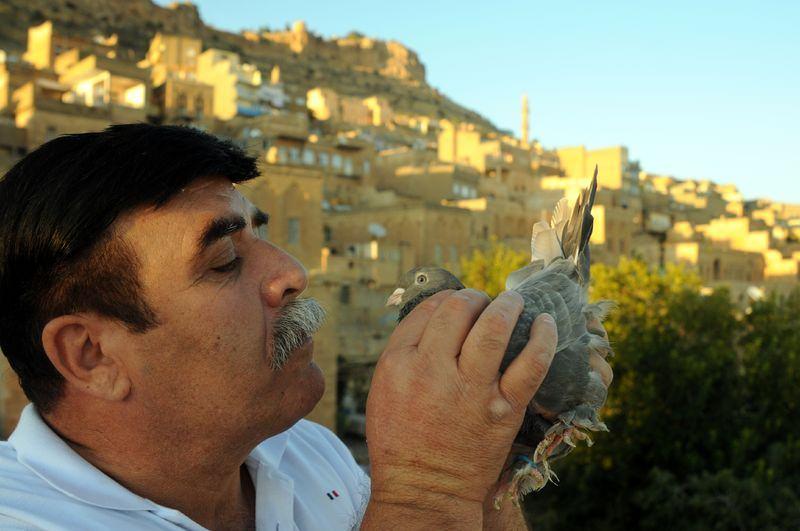 <div>Toparlı, Mardin'de farklı fiyatlarda güvercin bulunabileceğini ifade ederek "50 liraya da güvercin var ama bir güvercine 10 bin dolar dahi veririz. Damızlık bir kuş bulunursa adam evini verir güvercinini vermez" şeklinde konuştu. </div>
<div> </div>