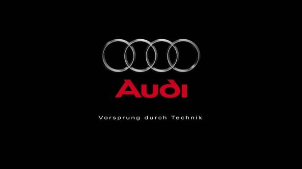 <p>AUDI: </p>
