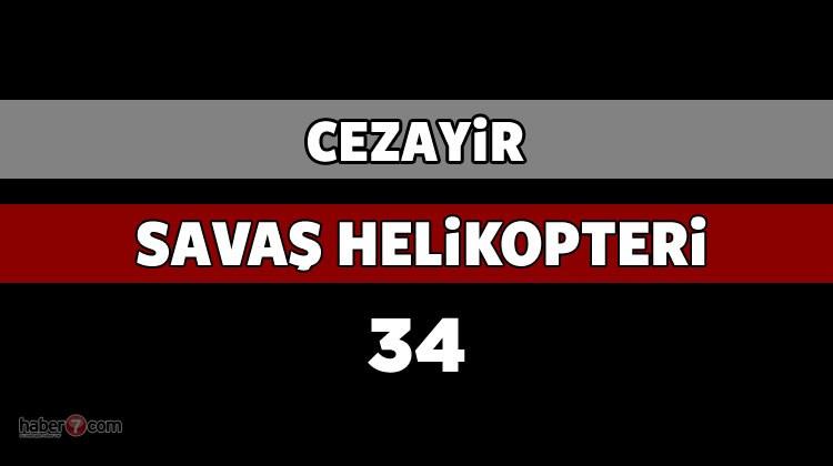 <p>CEZAYİR</p>
