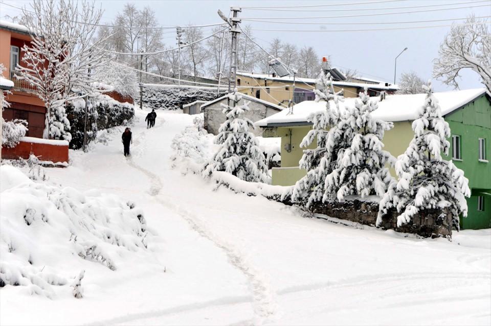 <p>ARDAHAN</p>
