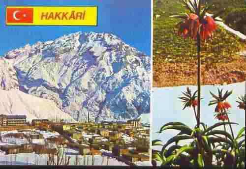 <p>Hakkari</p>
