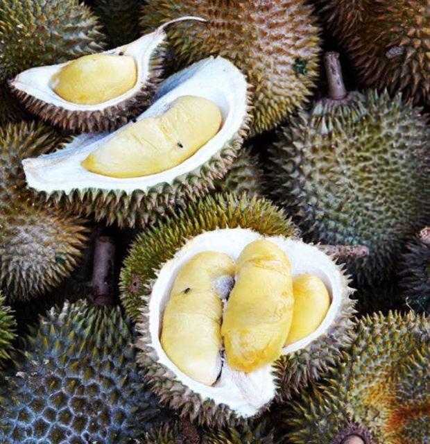 <p>Durian</p>

<p> </p>
