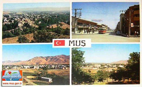 <p>Muş</p>
